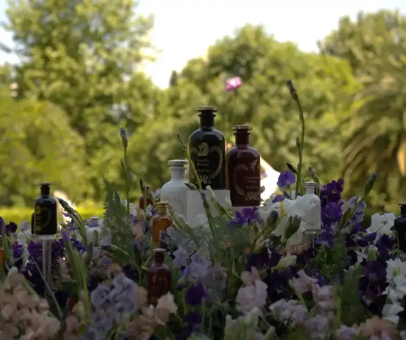 Decorative preview image of Global KOLs Launch